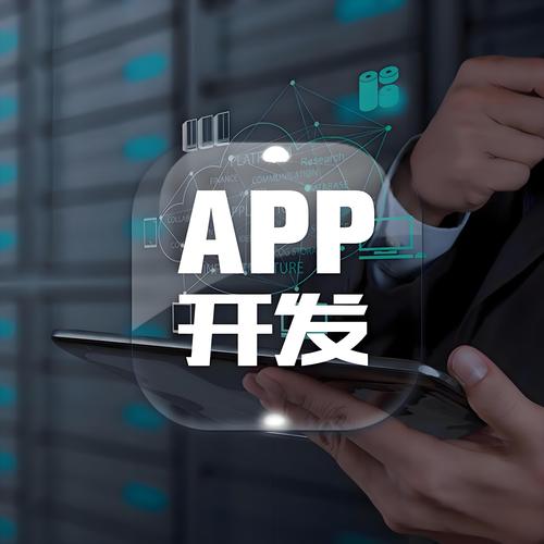 it外包 软件开发 驻场开发